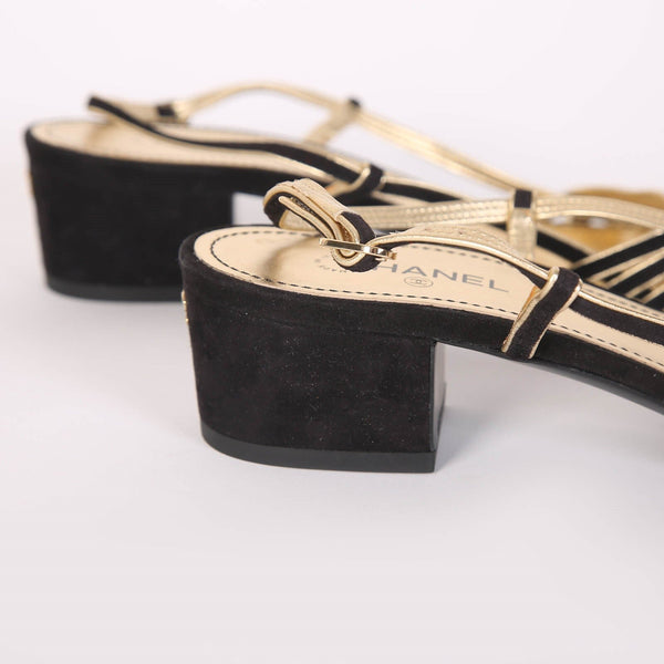 CC Strappy Low Heel Sandals 35mm Black Gold Metallic Suede