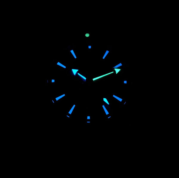 SEAMASTER PROFESSIONAL PLANET OCEAN 600M CASSA IN ACCIAIO QUADRANTE BLU