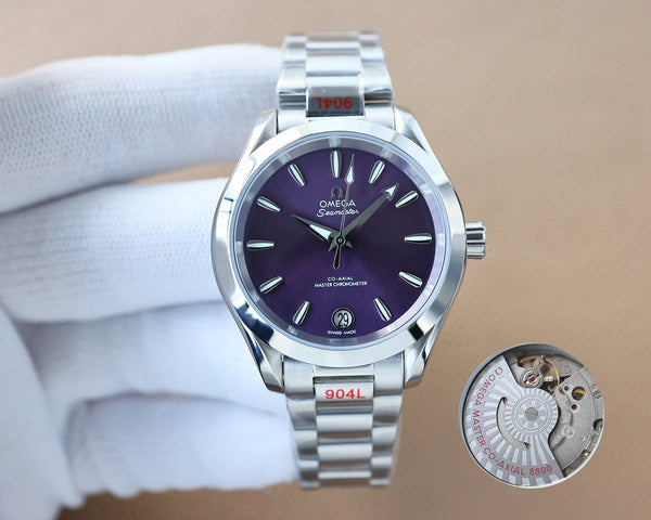 Omega Seamaster 34mm Silver Strap