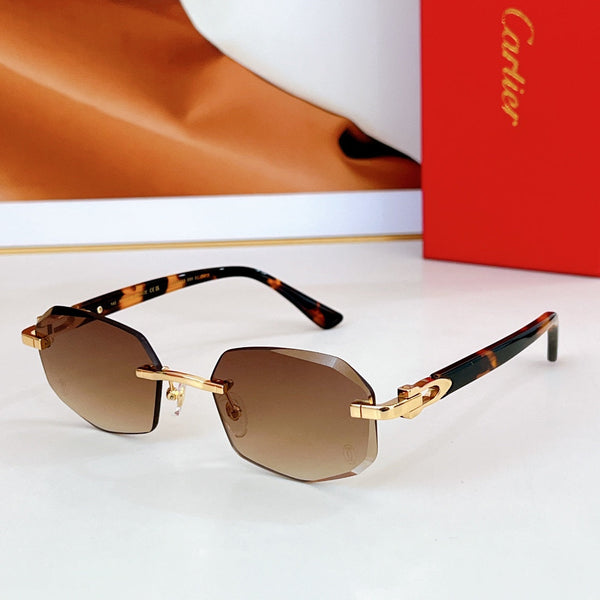 OCCHIALI DA SOLE CON MONTATURA GEOMETRICA SENZA MONTATURA CT0902S IN METALLO E ACETATO