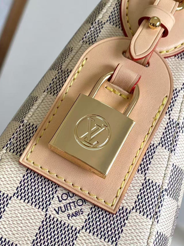 Slouchy PM 33cm Black White Damier Azur Coated Canvas & Cowhide