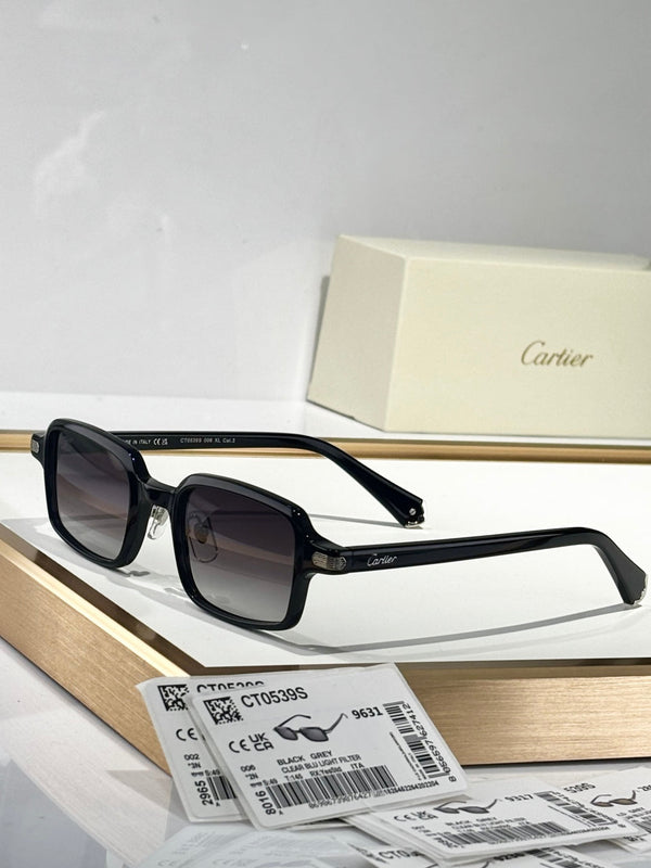 PREMIÈRE SQUARE FRAME SUNGLASSES CT0539S IN ACETATE