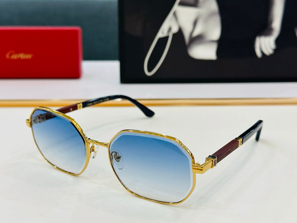 PREMIÈRE GEOMETRIC FRAME SUNGLASSES CT0492S IN METAL
