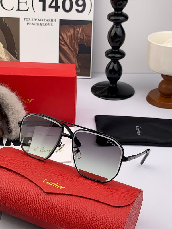 SANTOS NAVIGATOR FRAME SUNGLASSES 554561 IN METAL