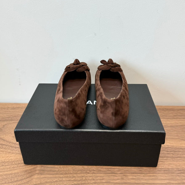 CC Ballet Flats Dark Brown With Camellia Dark Brown Suede