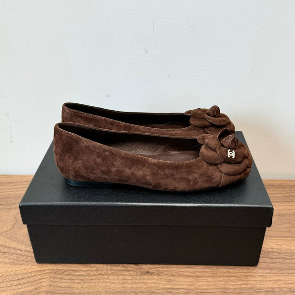 CC Ballet Flats Dark Brown With Camellia Dark Brown Suede