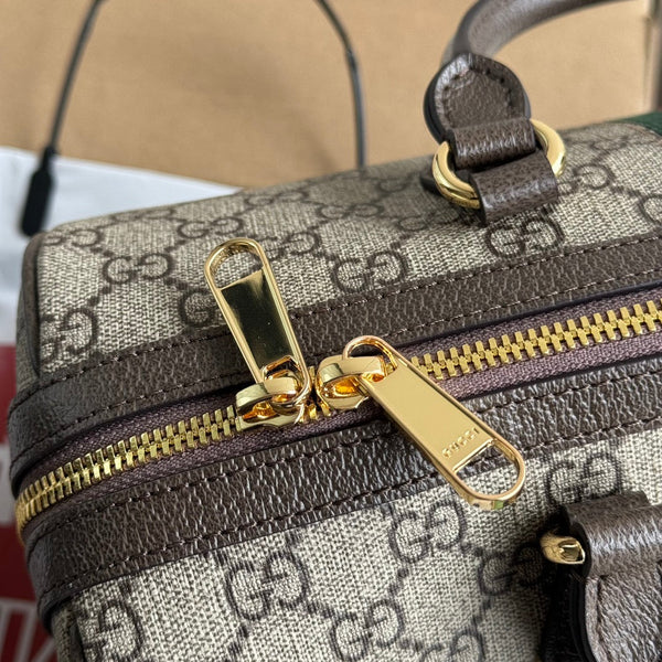 Borsa Gucci Ophidia Beige mix Brown Canvas 240085