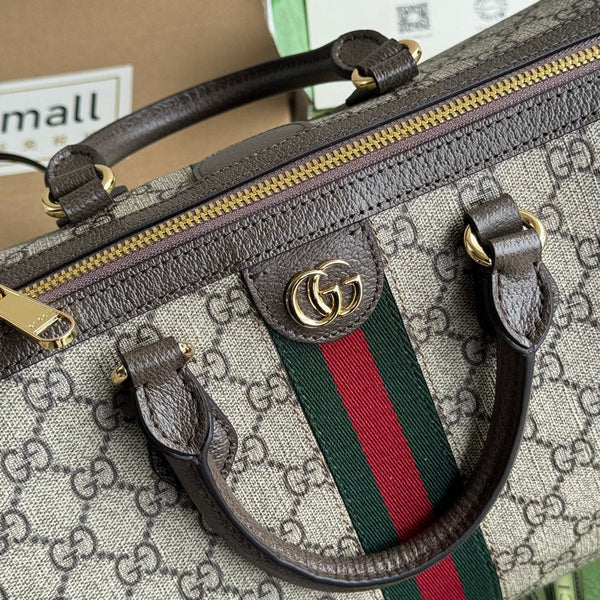 Borsa Gucci Ophidia Beige mix Brown Canvas 240085