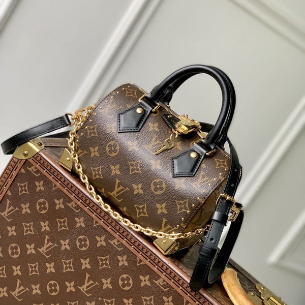 Lv Speedy Trunk 20 Black Brown Monogram