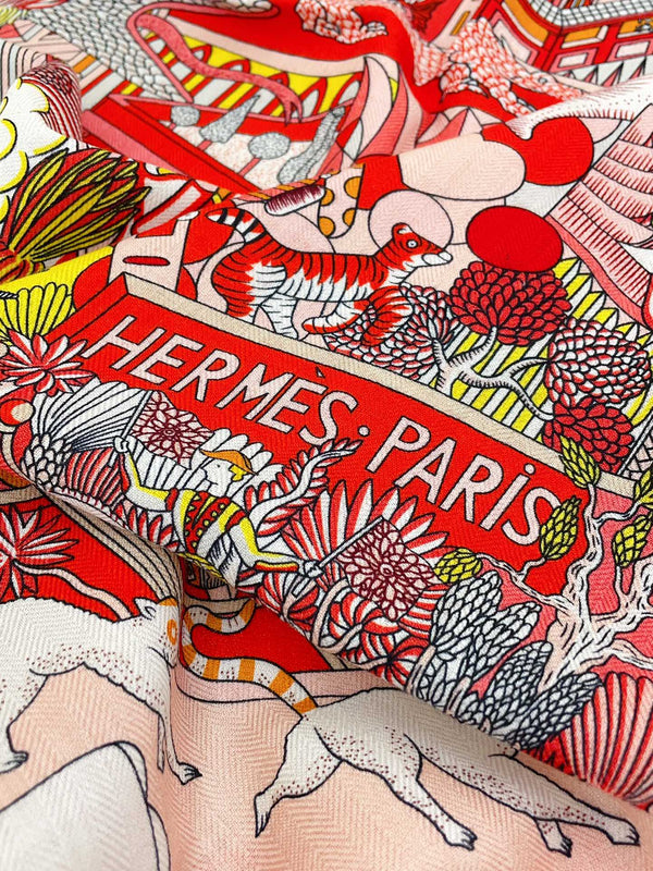 Animapolis Scarf Limited Edition 140 CM In Colorful Cashmere And Silk 306573