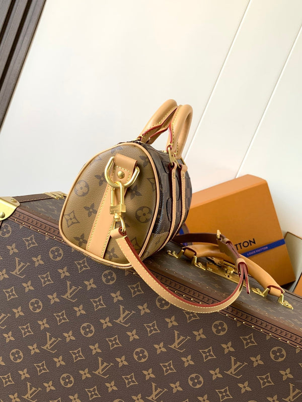 LV Keepall Bandoulière 25 Brown Boro Monogram Landscape canvas & Cowhide