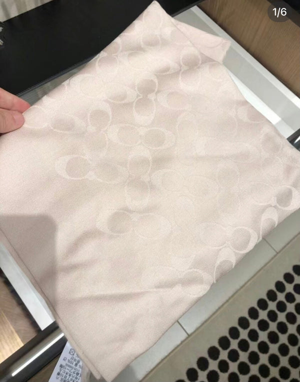 SCIARPA LUNGA 195 CM IN CASHMERE BEIGE 332744