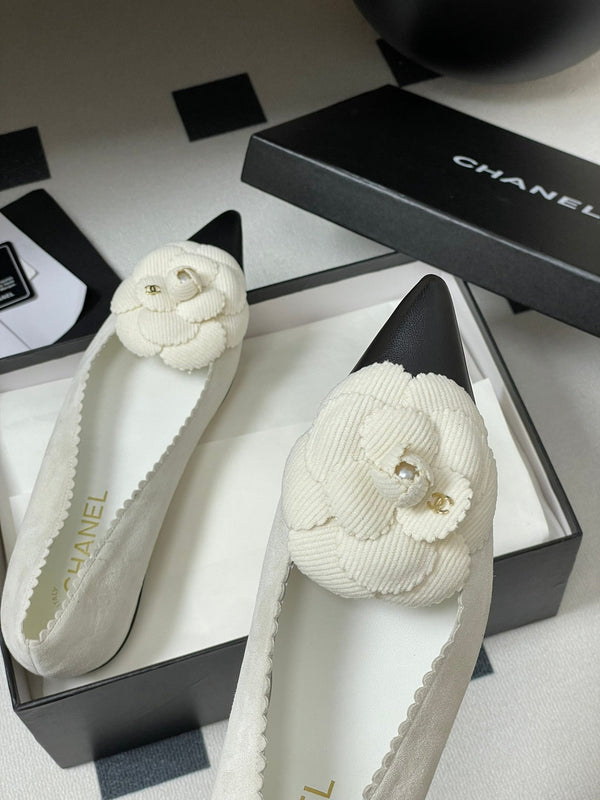 CC 25C Classic Camellia Pointed High Heels Flat 15mm White Suede 247609