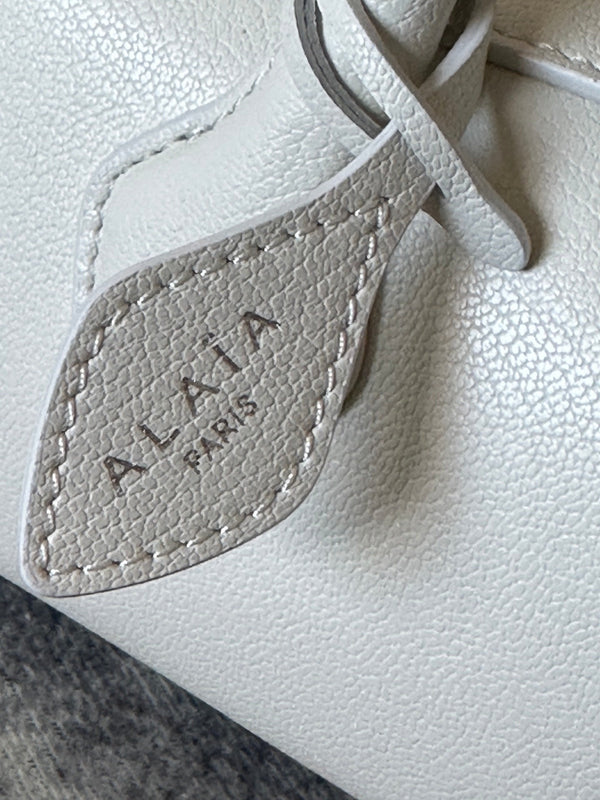 LE TECKEL MEDIUM BAG 32 IN PLATINUM GOATSKIN