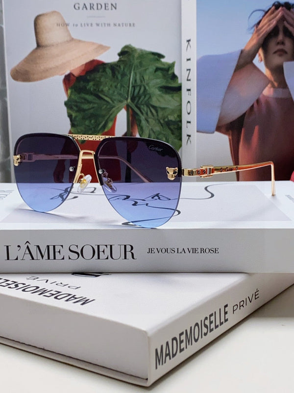 C DE AVIATOR FRAME SUNGLASSES 543538 IN METAL