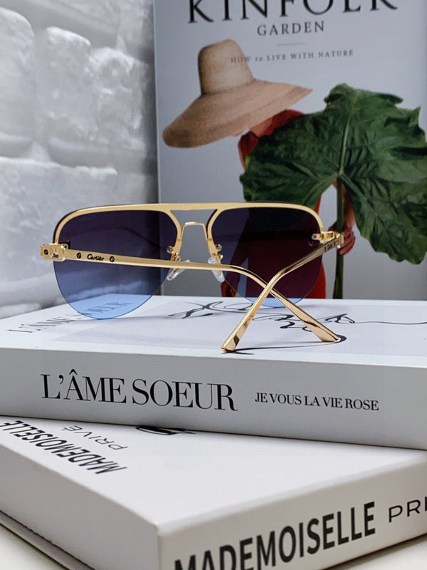 C DE AVIATOR FRAME SUNGLASSES 543538 IN METAL