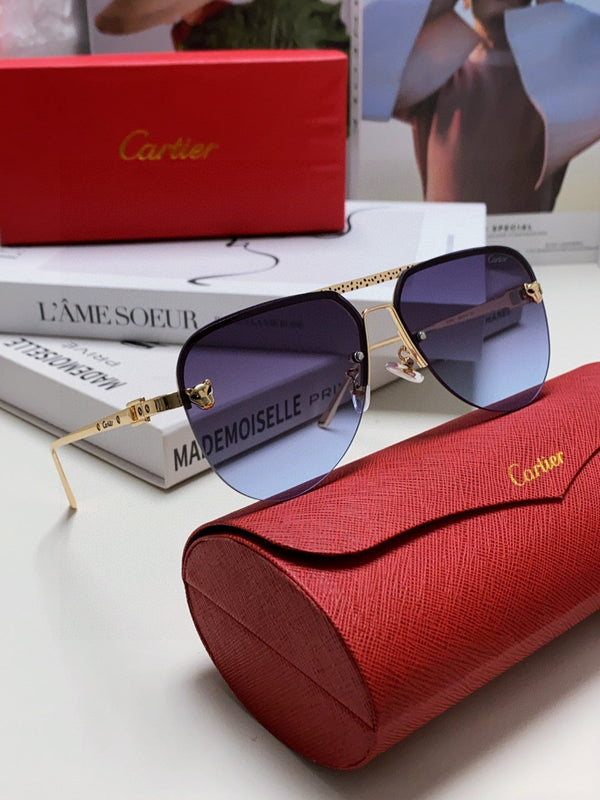 C DE AVIATOR FRAME SUNGLASSES 543538 IN METAL