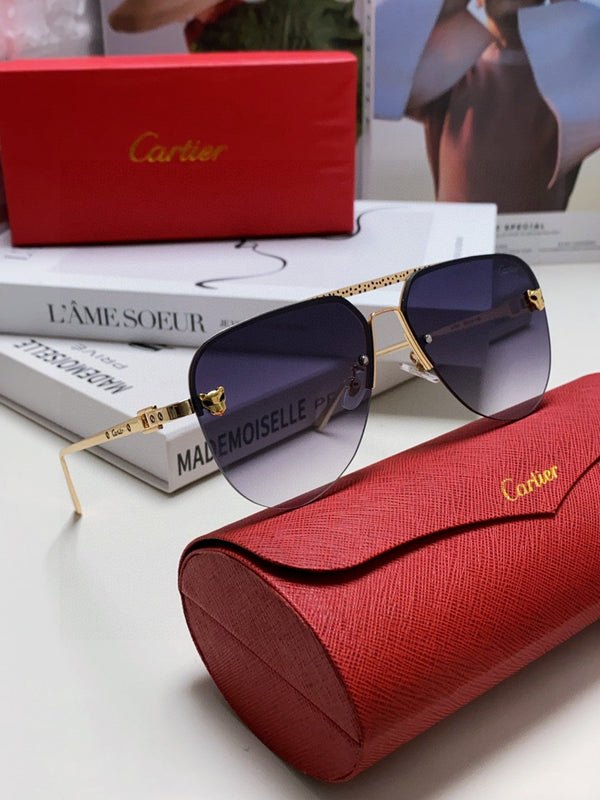 C DE AVIATOR FRAME SUNGLASSES 543538 IN METAL