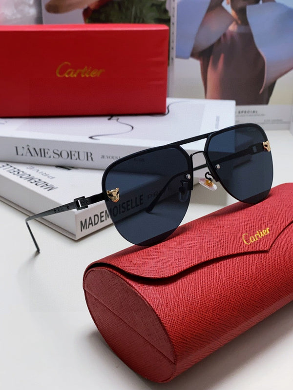 C DE AVIATOR FRAME SUNGLASSES 543538 IN METAL