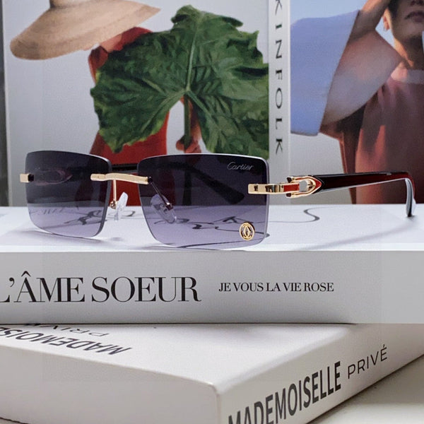 C DE RECTANGULAR FRAME SUNGLASSES 555890 IN METAL AND ACETATE