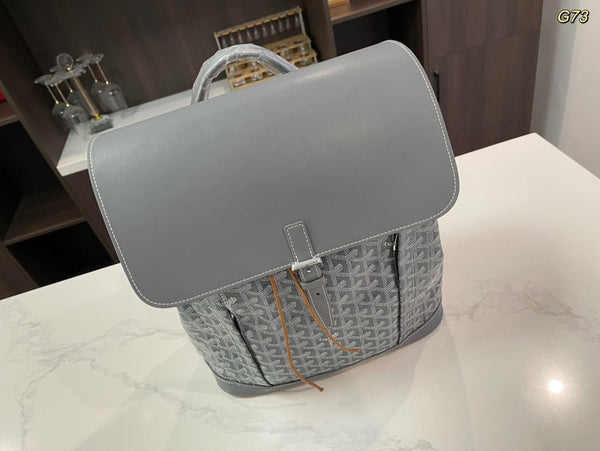 ALPIN BACKPACK 37 IN GREY LAMBSKIN AND GOYARDINE CANVAS