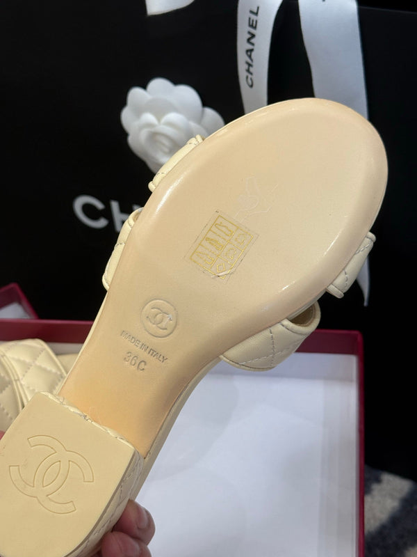 CC 25SS Honey Slippers 5cm Beige Lambskin 319638