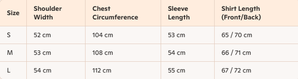 Celine 25 Arc de Triomphe Logo Embroidered V-neck Shirt White Cotton