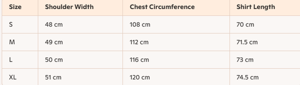 Celine 25 Arc de Triomphe Embroidered T-shirt Cotton