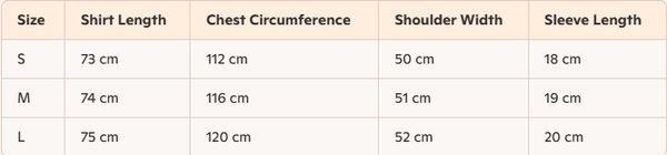 Celine 25 Letter Embroidered T-shirt Cotton