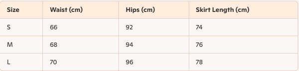 Celine 25 Denim Skirt with Logo Belt Black Cotton