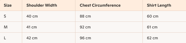 Celine Arc de Triomphe T-shirt Black White Cotton