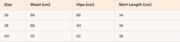 Celine Arc de Triomphe Metal Buckle skirt Black Lambskin