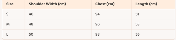 Celine 25 Striped Shirt Blue mix White Cotton