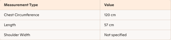 Prada 25 Hooded Triangle Logo Jacket Shorts Suit White Polyester 217937