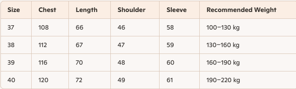 CELINE Embroidered Arc de Triomphe Knitted Polo Cotton