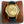 OYSTER PERPETUAL 40MM GOLD CASE LEATHER STRAP