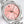 OYSTER PERPETUAL 31MM PINK DIAL