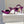 Manolo Mules Crystal Purple Silk Satin 219385