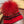 SET SCIARPA E CAPPELLO IN LANA E CASHMERE ROSSO CILIEGIA 945029 