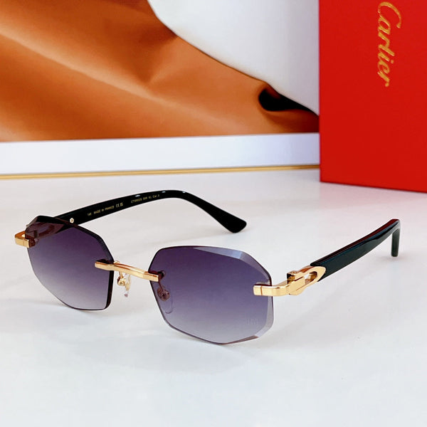 OCCHIALI DA SOLE CON MONTATURA GEOMETRICA SENZA MONTATURA CT0902S IN METALLO E ACETATO