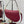 CD Saddle Bag 25cm Dark Red Grained Calfskin