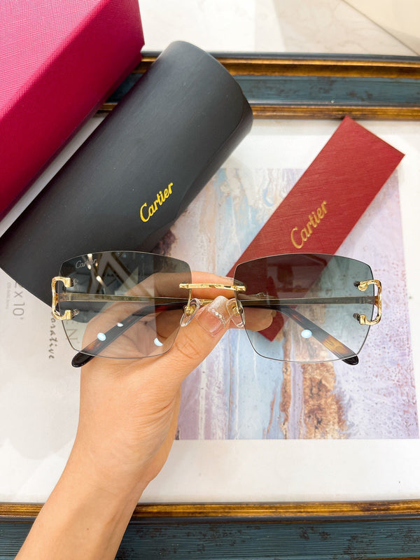 Cartier Sunglasses Rectangle Gold Frame