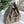 CC 25C Hobo Bag 40cm Grey Suede