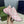 SNEAKERS GG RUN IN PELLE ROSA