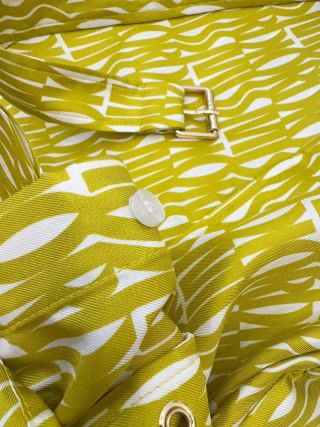 CD 2025 Printed Shirt Dress Silk