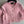 CC 25A Classic Round Neck Floral Wool Cardigan In Pink 275515