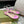 THONG SANDAL IN FUSCIA PINK CALFSKIN