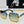 TRIOMPHE SQUARE SUNGLASS CL40238 IN ACETATE