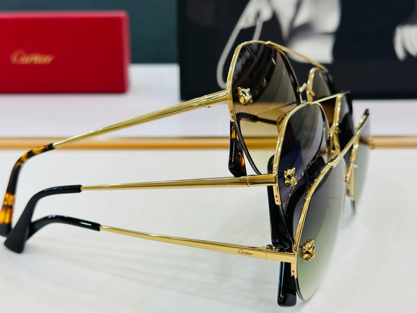 SIGNATURE C DE AVIATOR FRAME SUNGLASSES CT0355S IN METAL