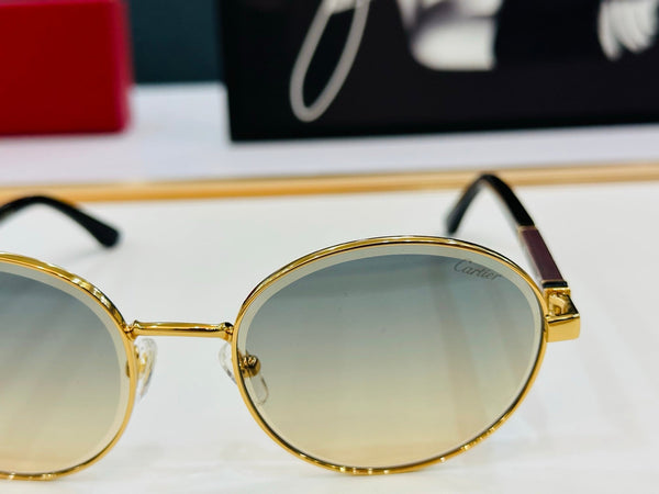 PREMIÈRE ROUND FRAME SUNGLASSES CT0490S IN METAL